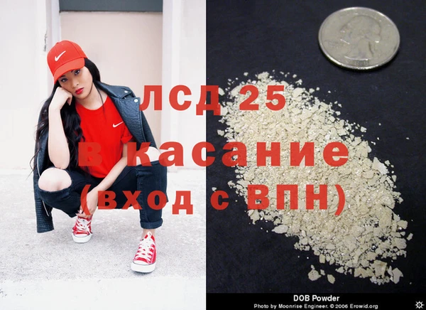 ECSTASY Богородицк