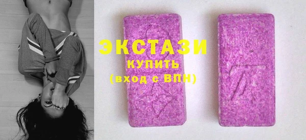 ECSTASY Богородицк